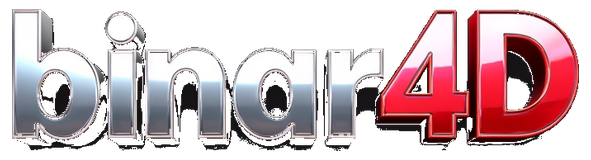 binar4d logo